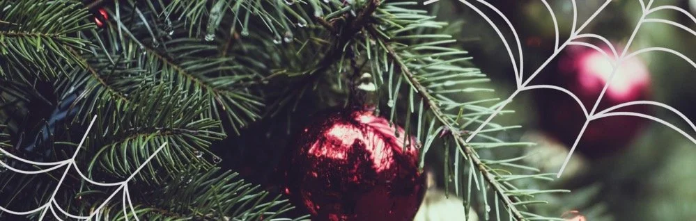 Image The Christmas Spider