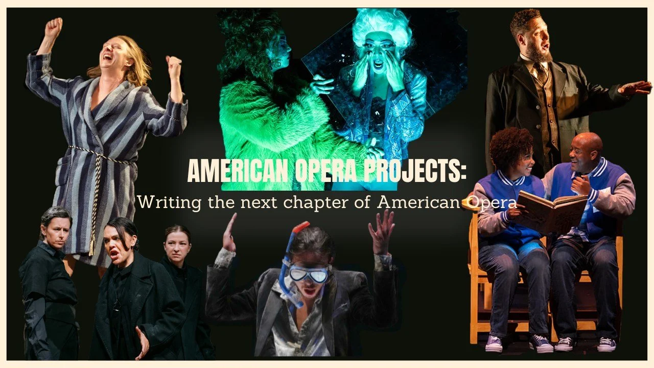 In 2025 AOP produced 10 premieres by emerging composers &amp; librettists and established professionals in the field. As we look ahead to 2026 and AMERICA250, we celebrate passionate and visionary artists.

Donations to AOP go directly to the develop