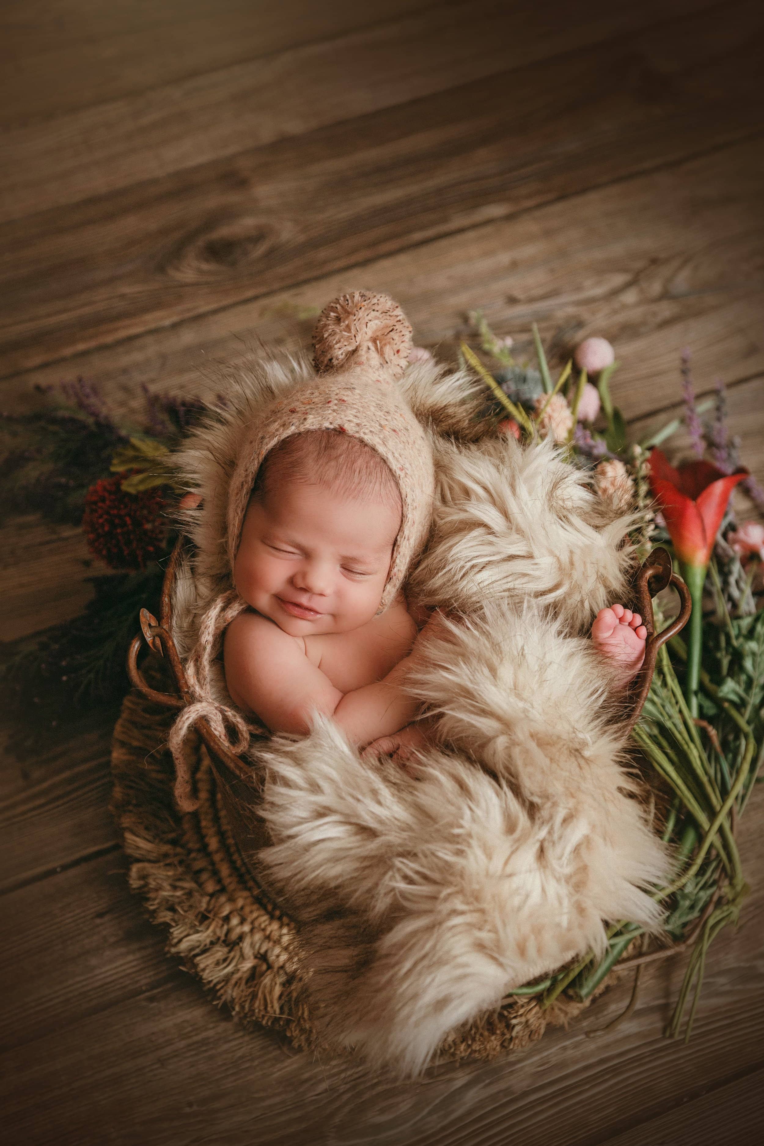 Wooster Ohio Newborn Photographer (5).jpg