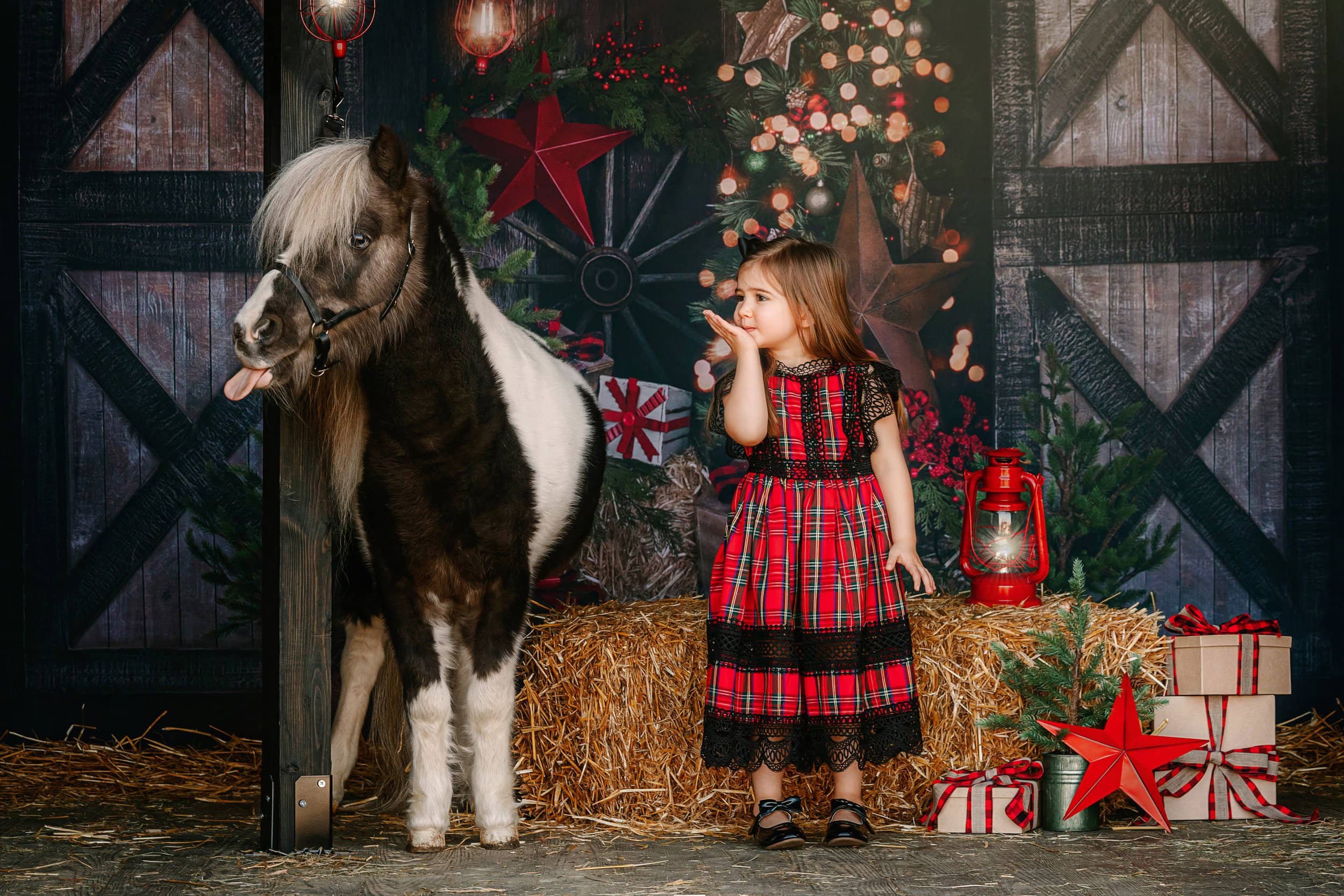 Christmas Reveal: Pony for Christmas