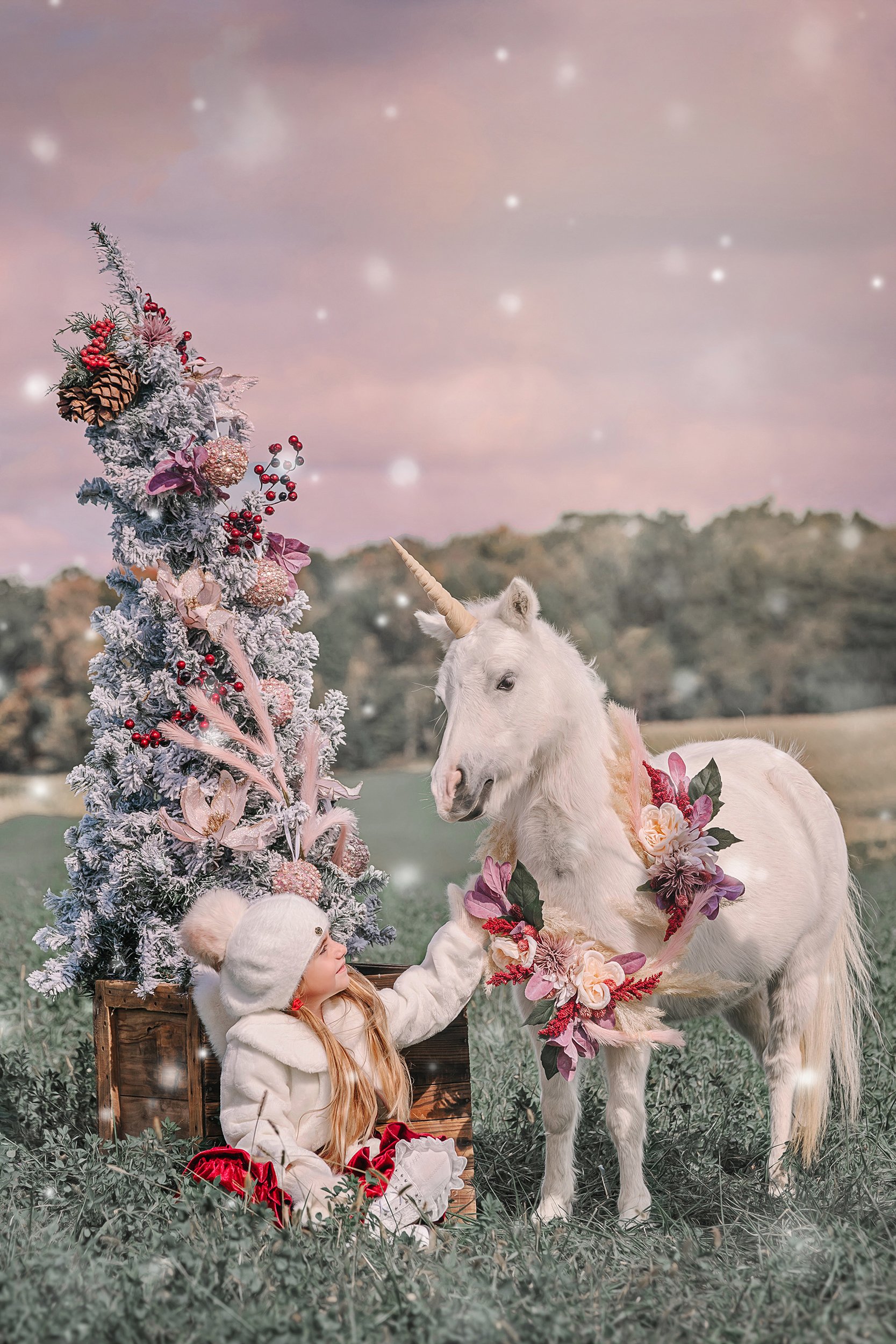 Unicorn sessions....what it is like to be the Ohio Unicorn Photographer
