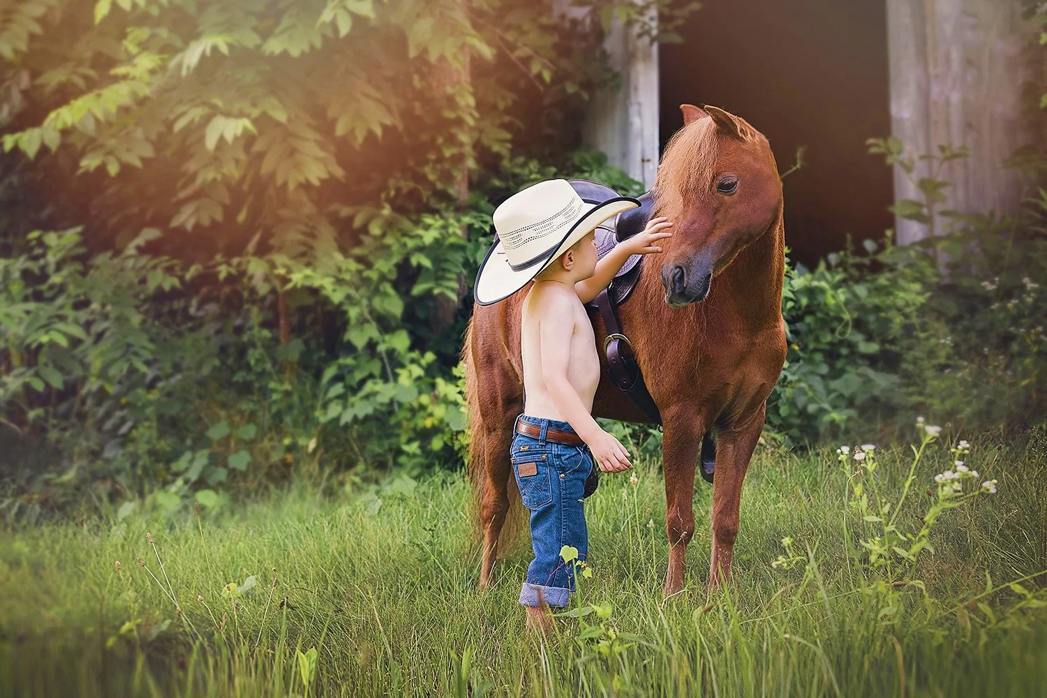 Summer Mini Sessions are Booking Now!