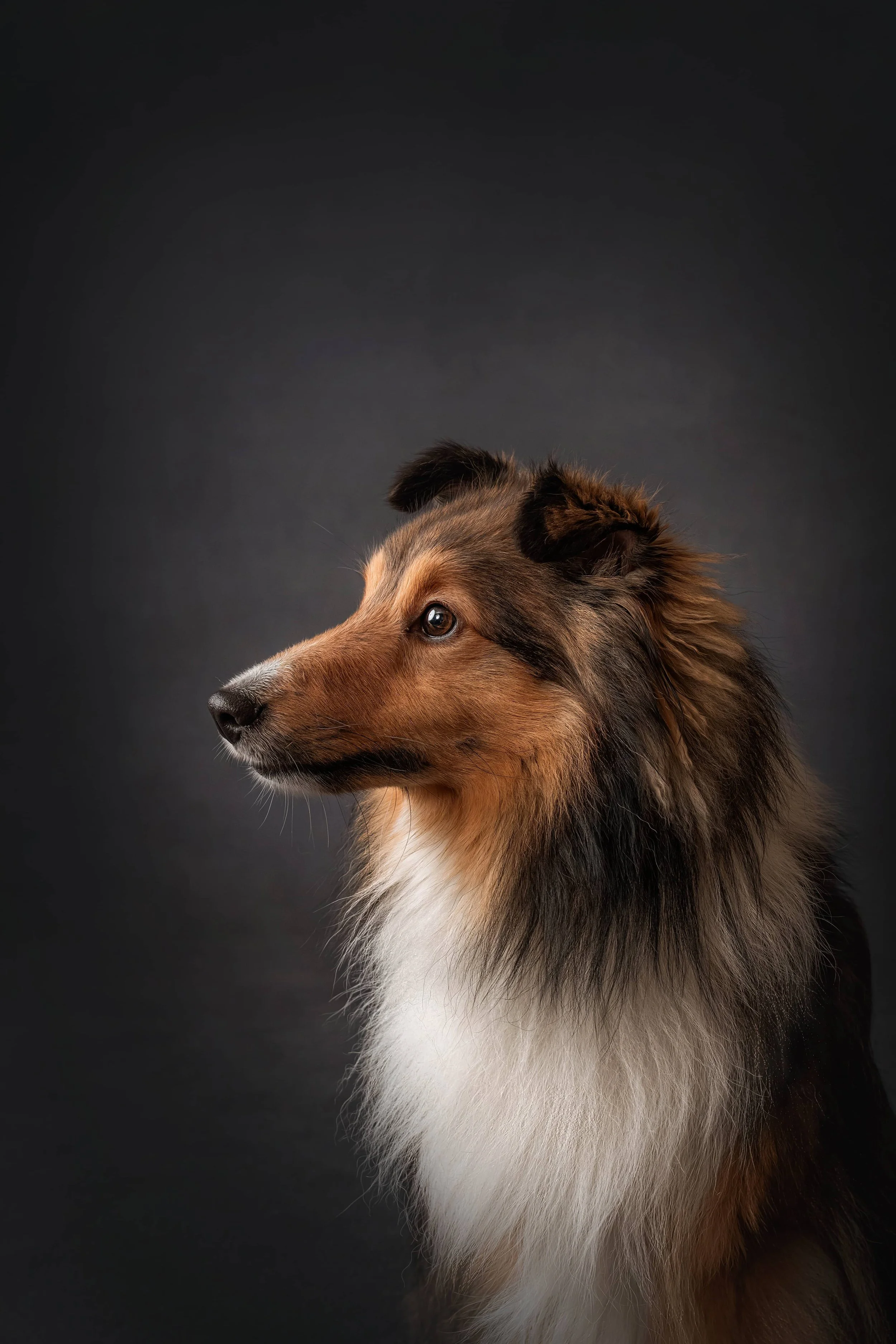 How a Simple Winter Project Breathed New Life into my Business