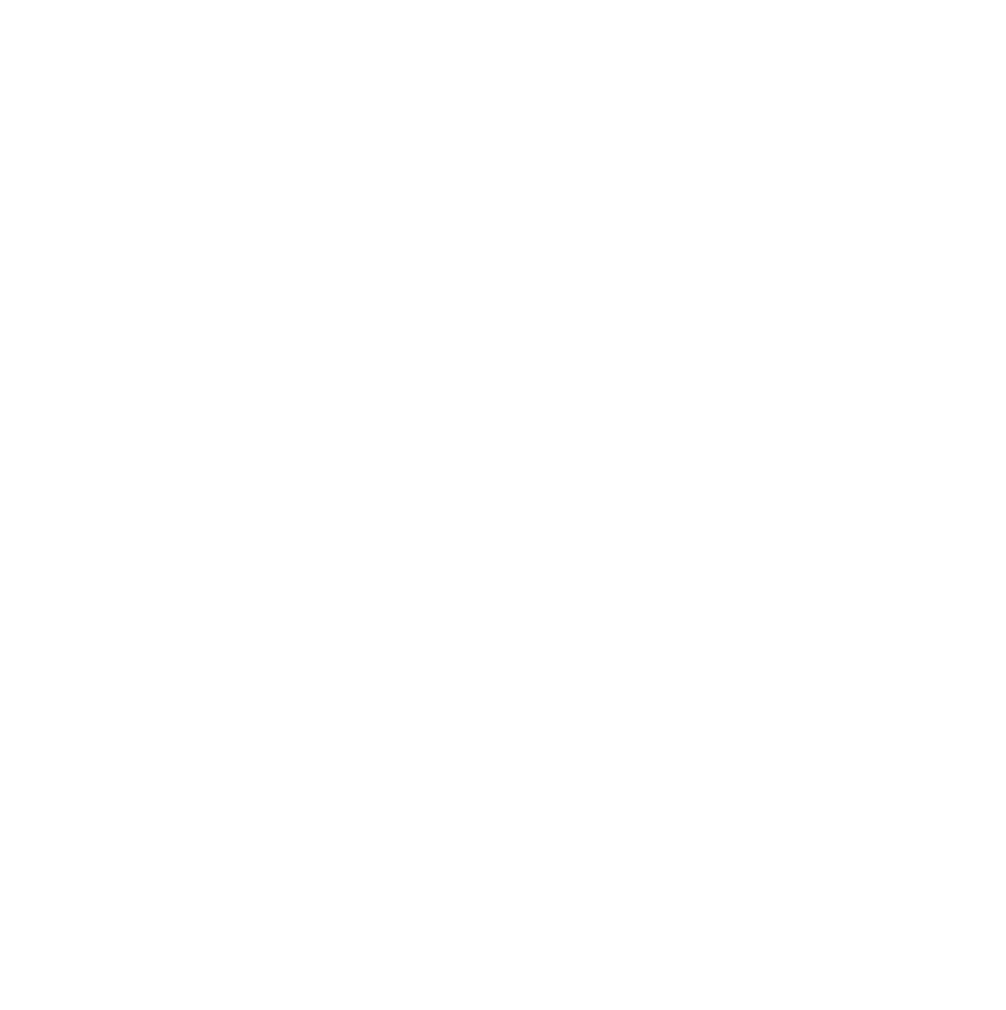 Schwarz-weißes Logo mit einem Blitz, umgeben von einer Sonne, darunter das Wort 'ForeLight'.