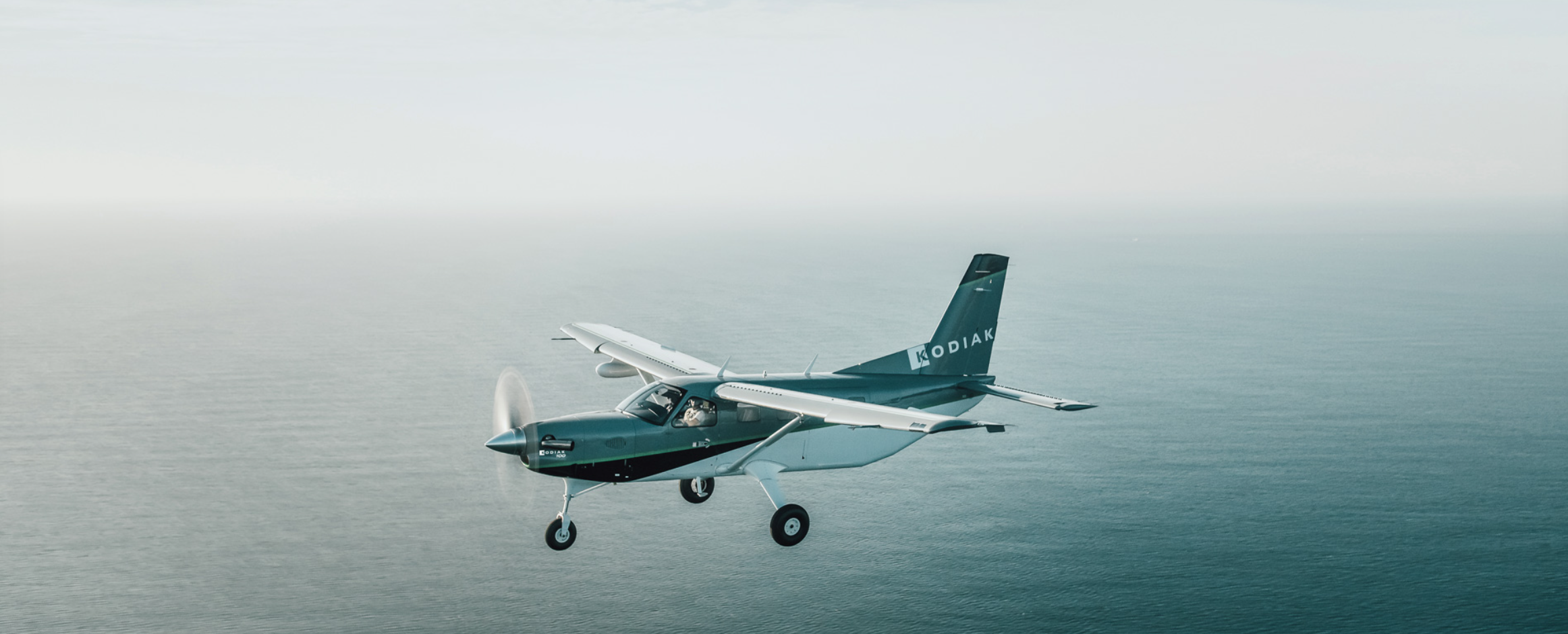 Daher Kodiak 100 Aircraft