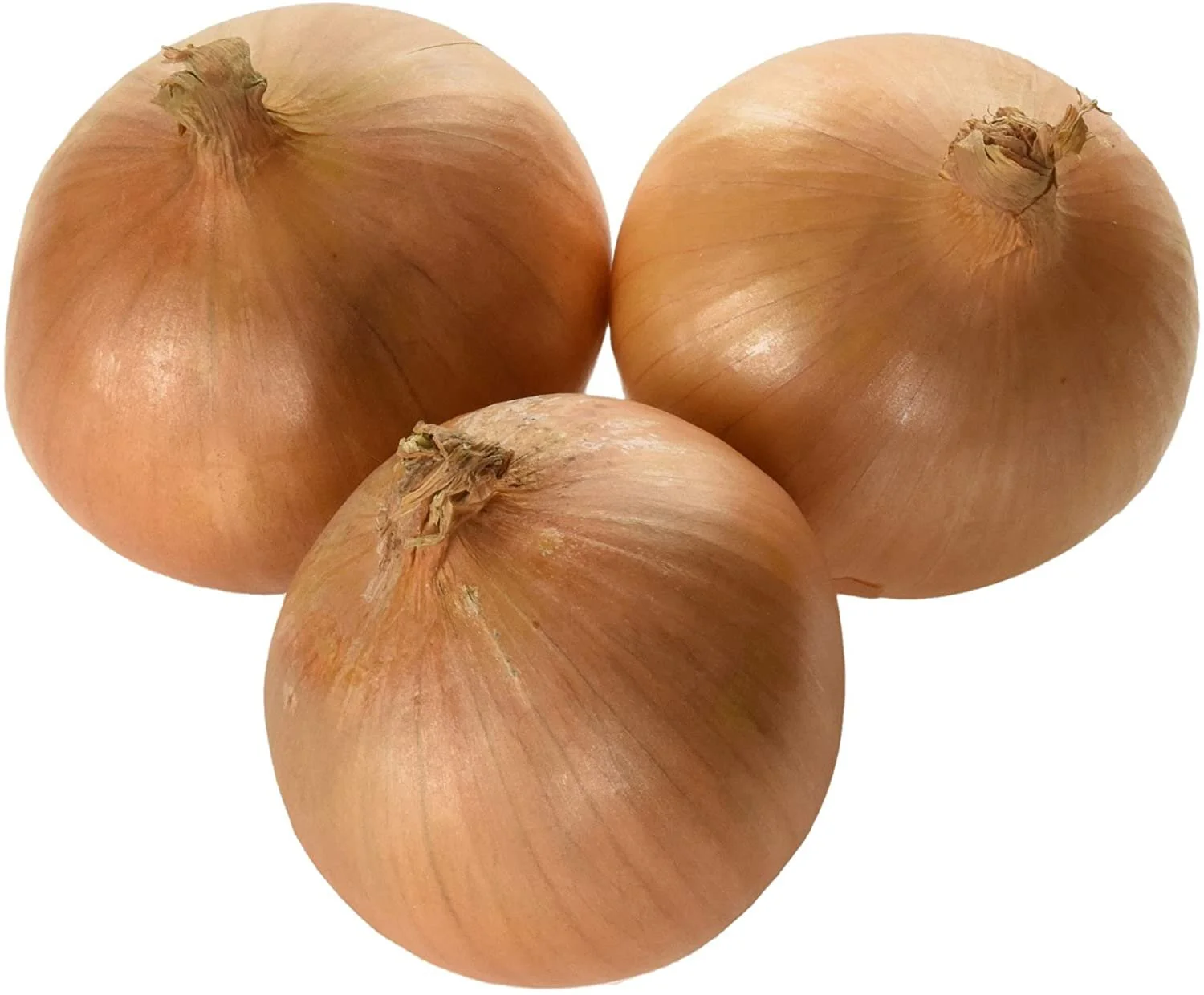 Onions.jpg