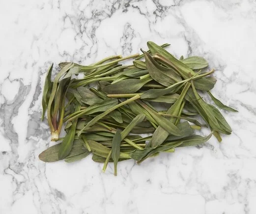 Sea-Aster.jpg