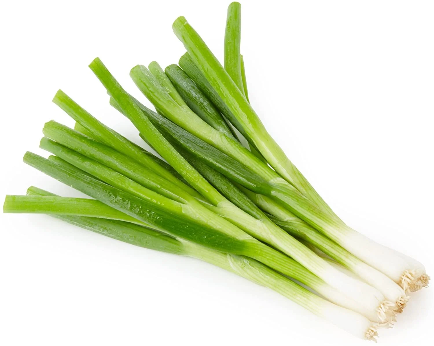Spring Onions.jpg