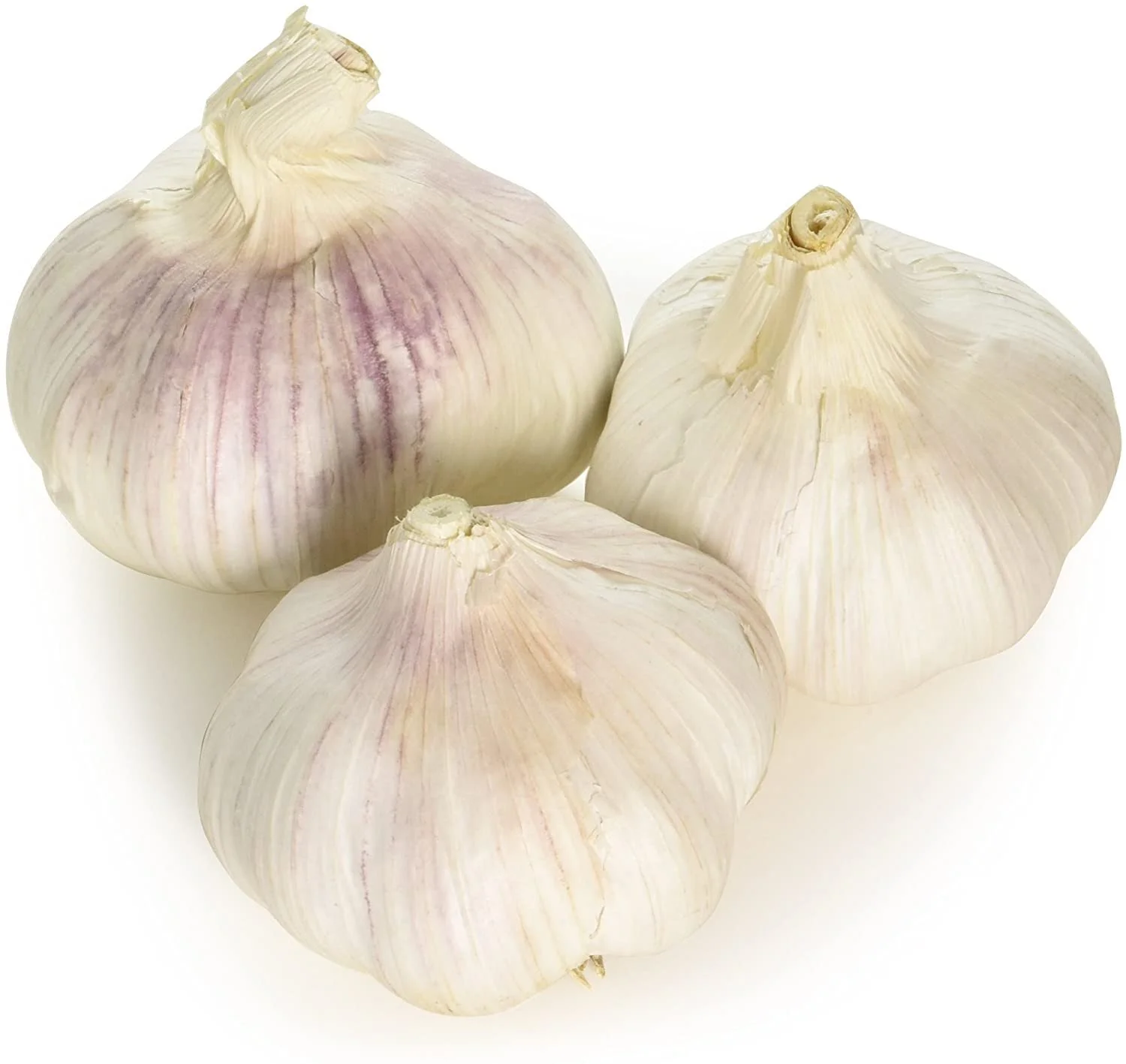 Garlic.jpg