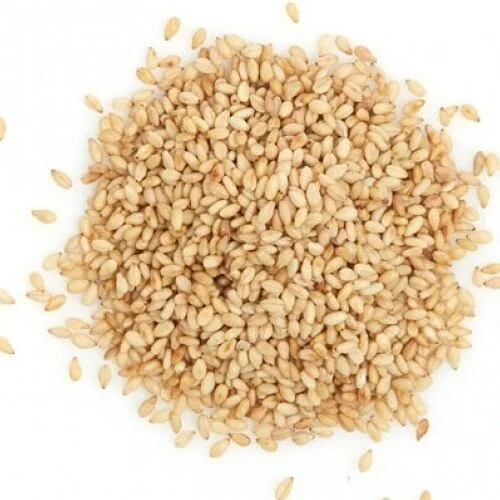Sesame+Seeds.jpg