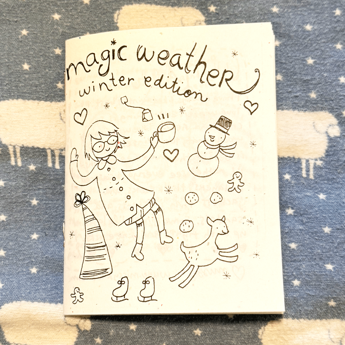 Magic-Weather-Zine-Winter-1.jpg