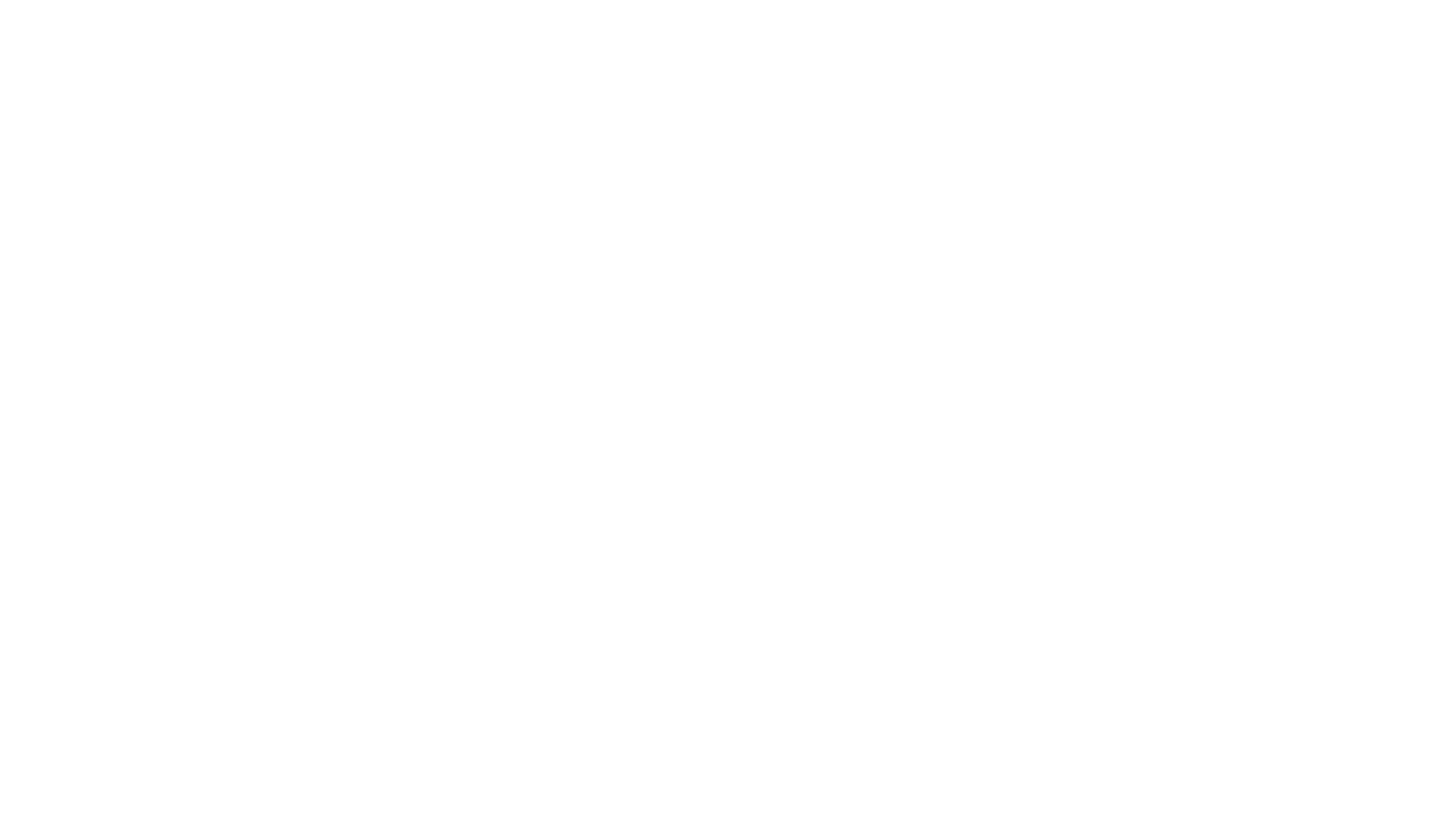 The Bengal Group, Inc.