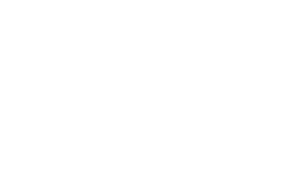 THE SAUNDERS COLLECTIVE