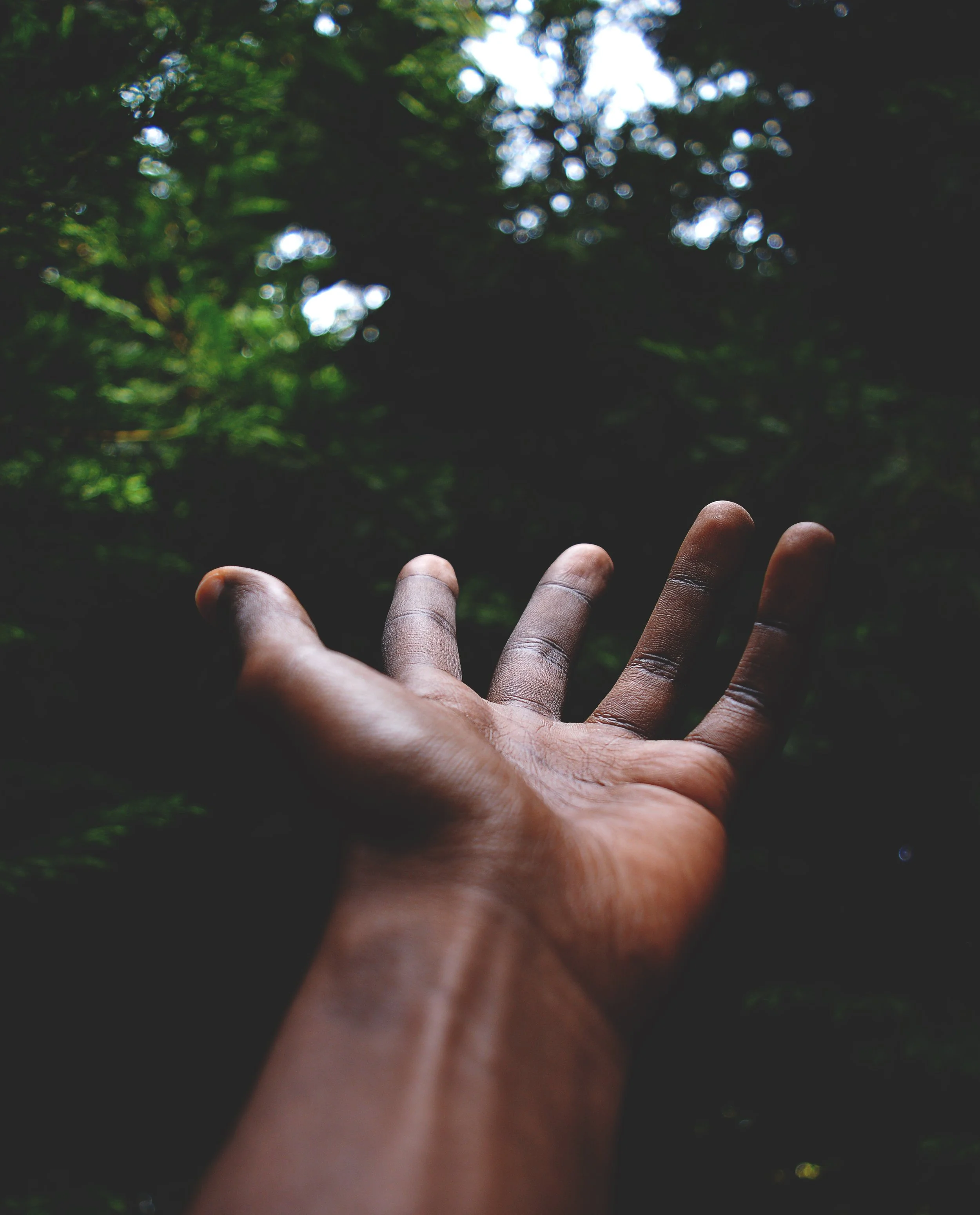 rui-silvestre-703796-unsplash.jpg