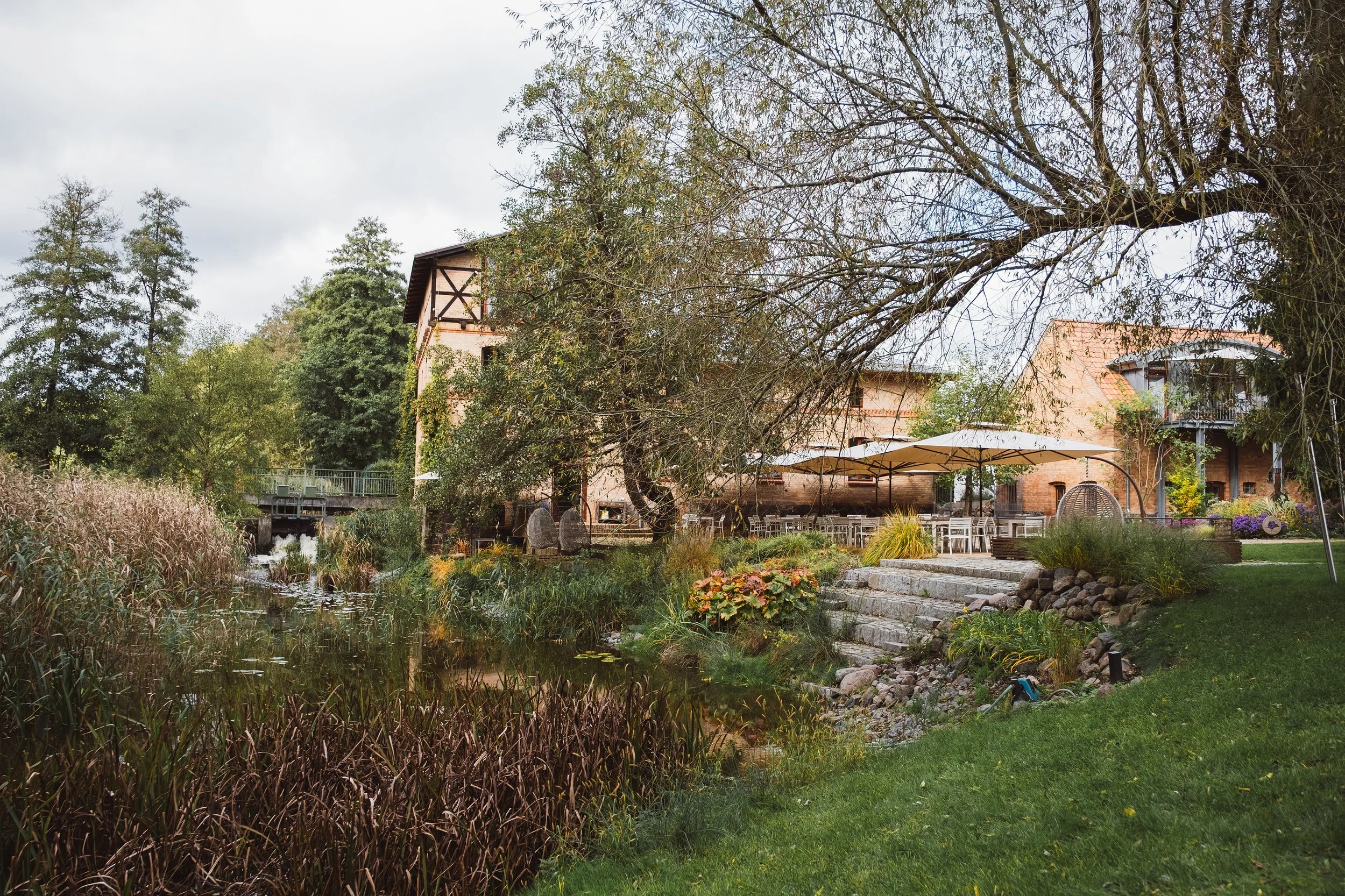 Uferbereich der Mühle Tornow