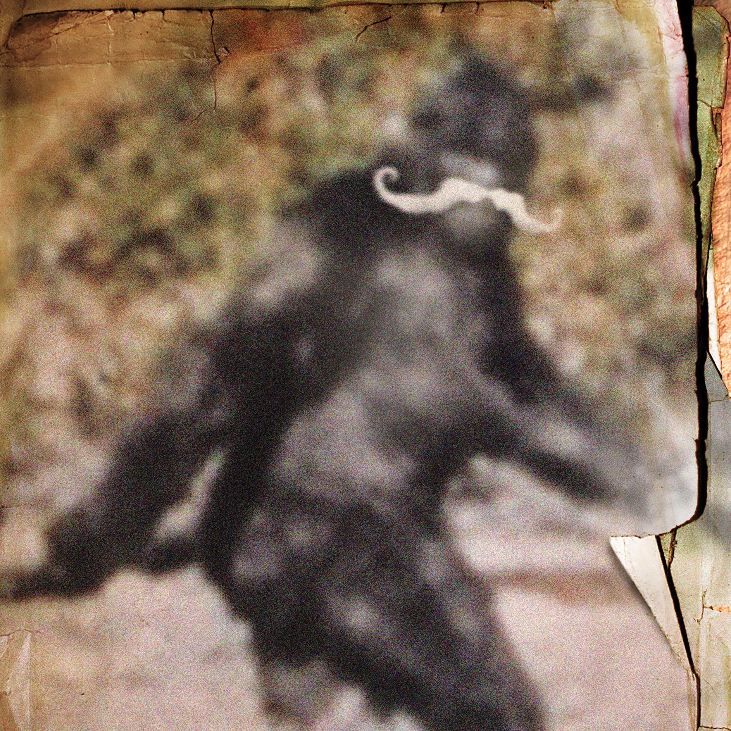 MustachQuatch_Cropped.jpg