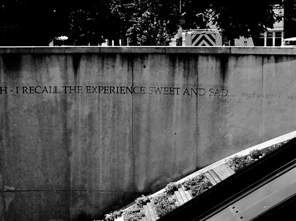 Screen Shot 2018-12-29 at 2.06.06 AM.jpg