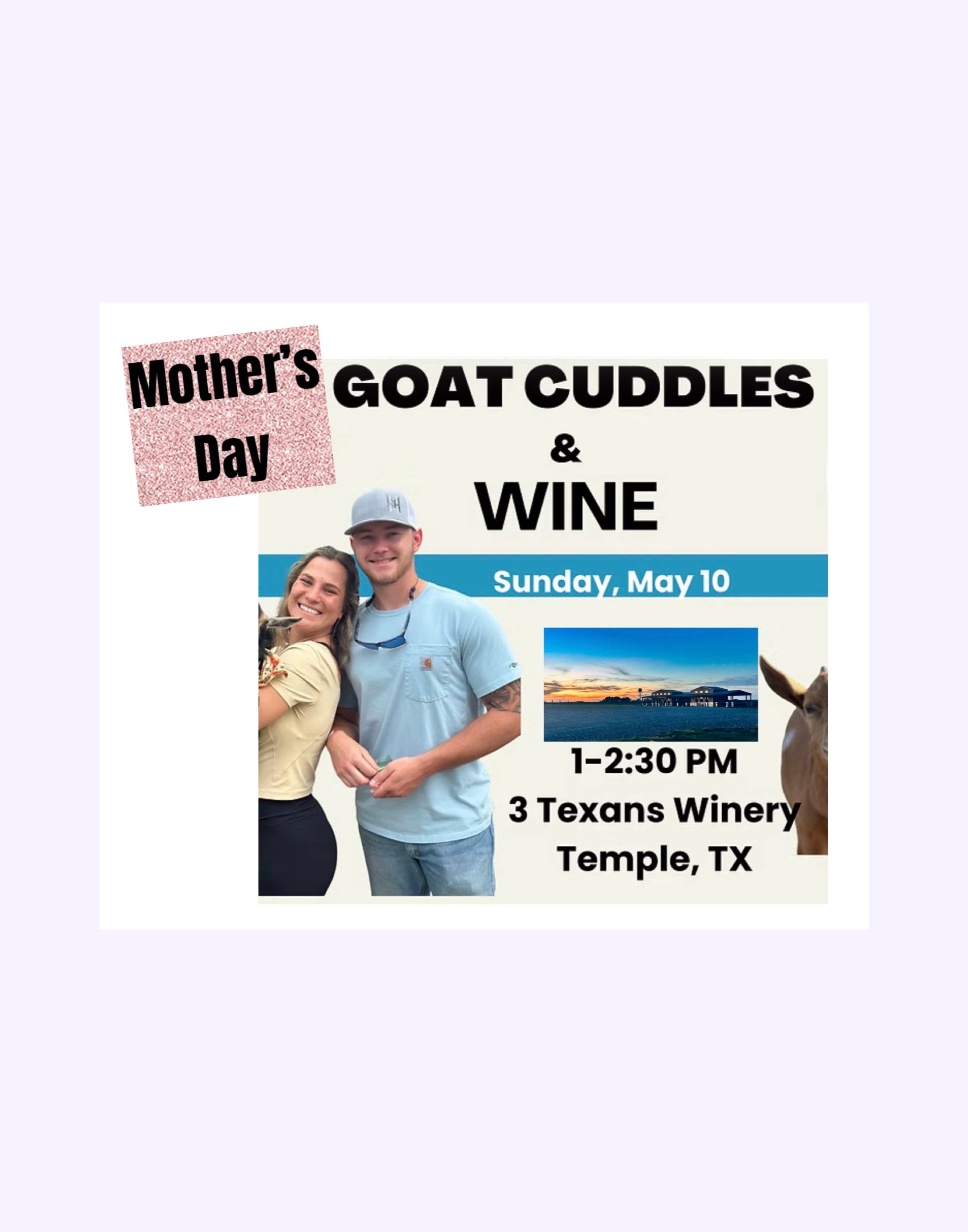 Goat Cuddles and Wine