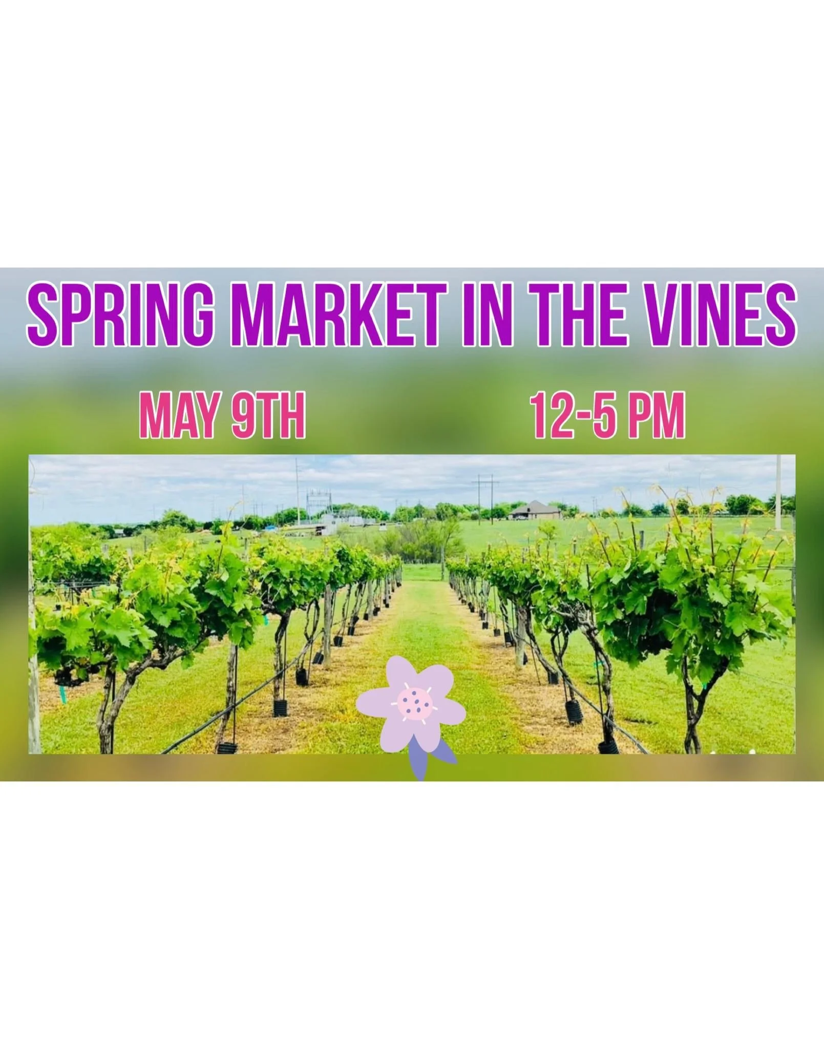 Spring Market In The Vines  - Spring 2026