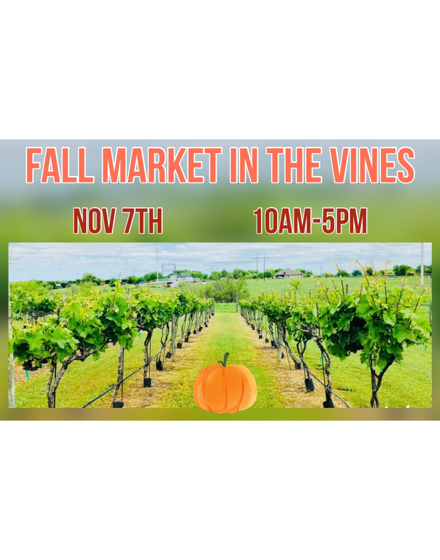 Fall Market in the Vines