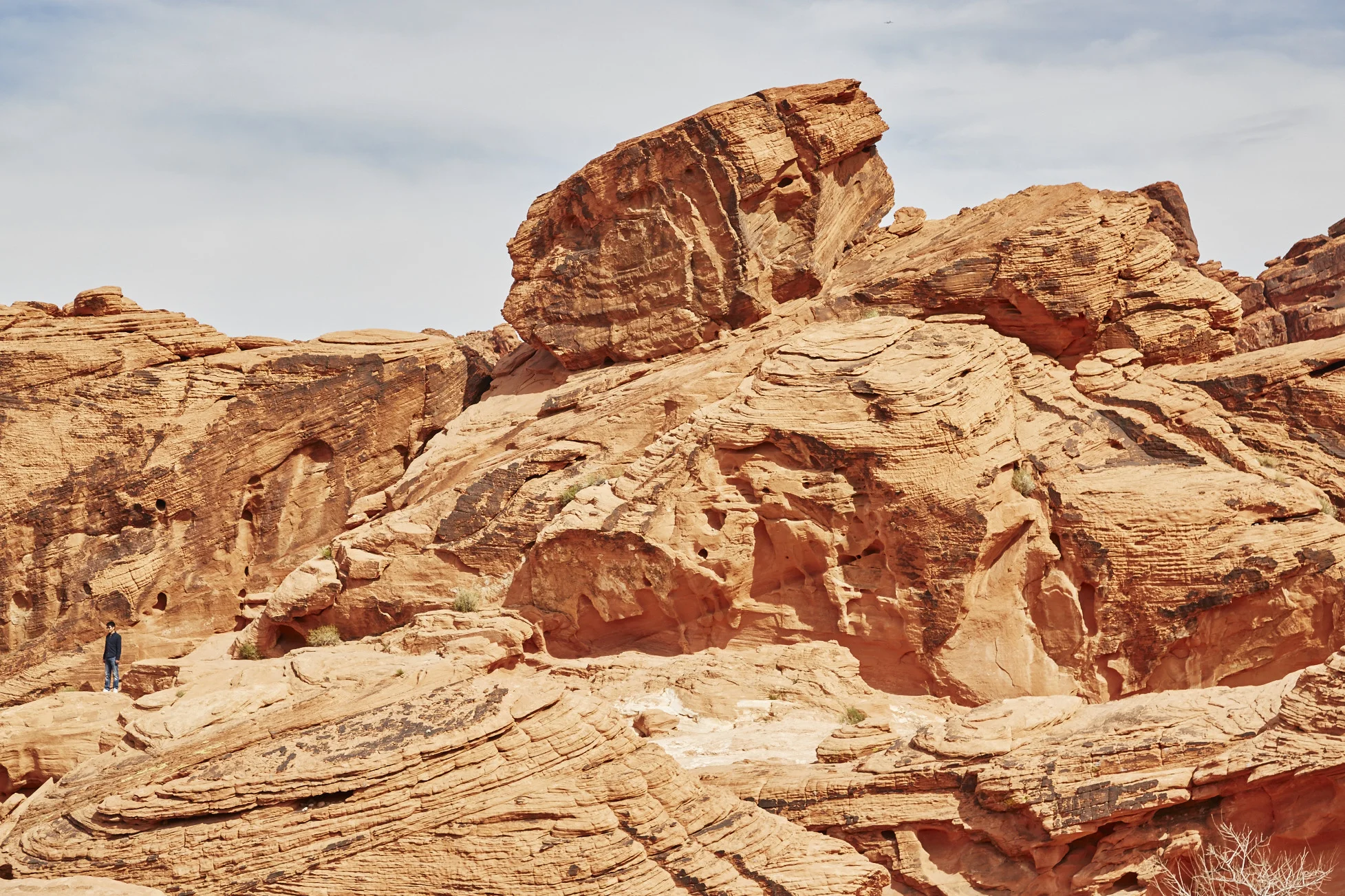 2016_03_13_Valley_Of_Fire_019.jpg