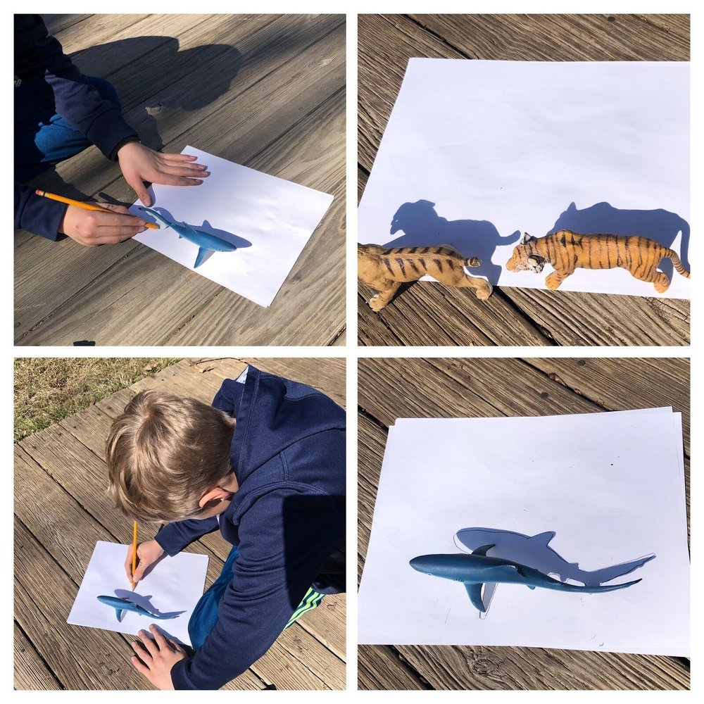Shadow Tracing — Leelanau Children's Center