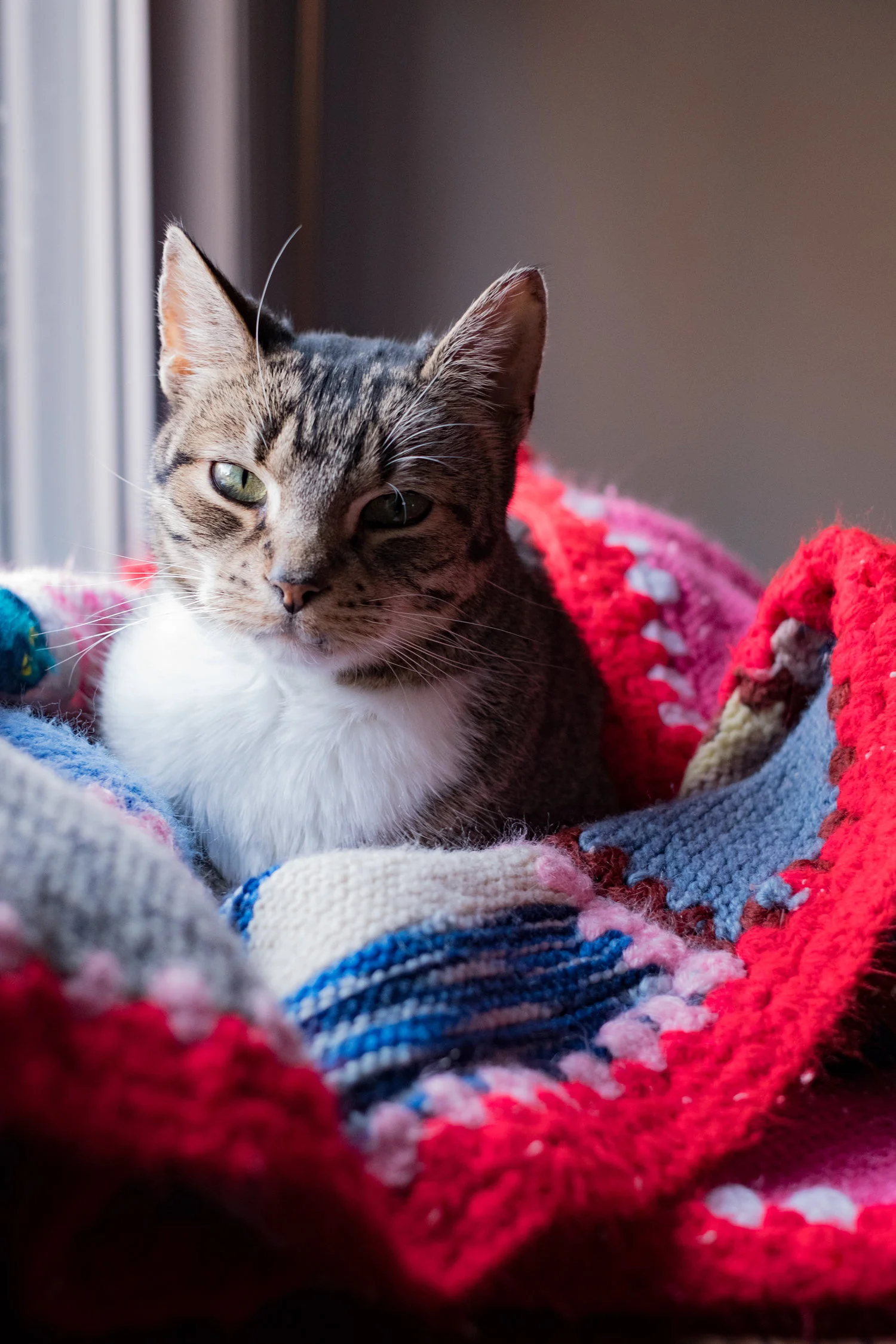 DSCF6614-2.jpg