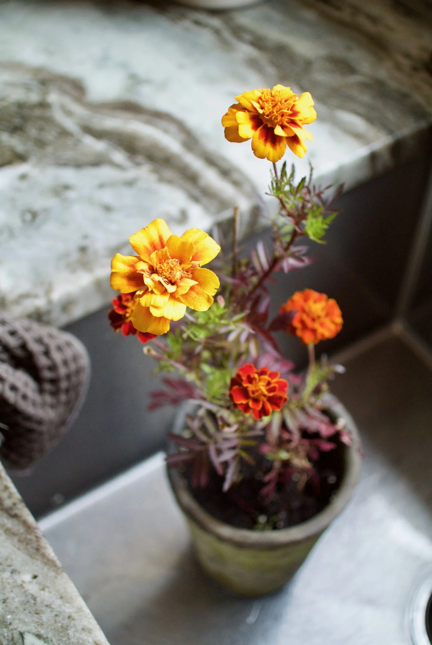DSC_6218f.jpg