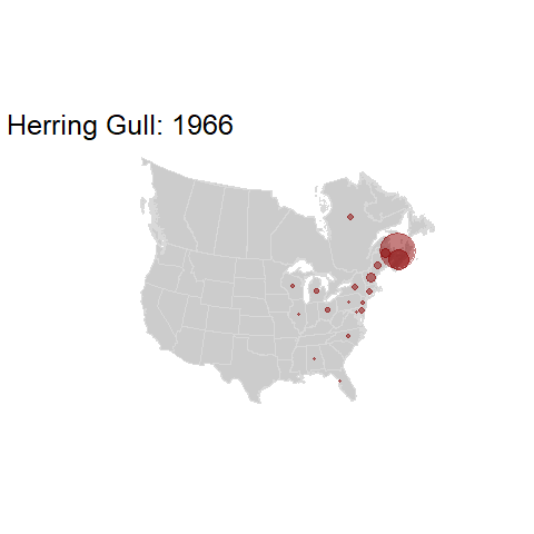 Herring Gull.BBSindex_states_1966-2015.gif
