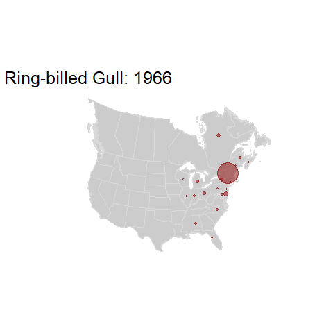 Ring-billed Gull.BBSindex_states_1966-2015.gif