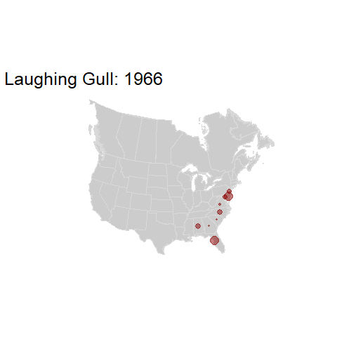 Laughing Gull.BBSindex_states_1966-2015.gif