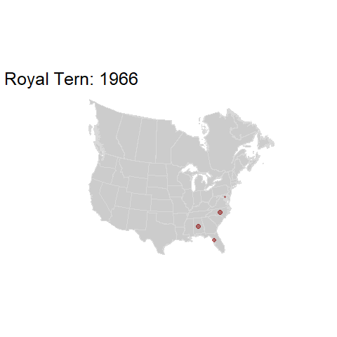 Royal Tern.BBSindex_states_1966-2015.gif