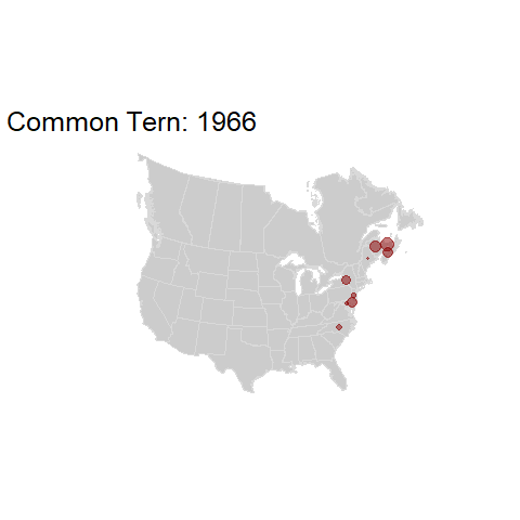 Common Tern.BBSindex_states_1966-2015.gif