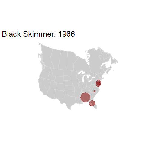Black Skimmer.BBSindex_states_1966-2015.gif