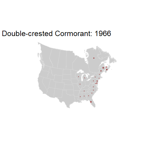 Double-crested Cormorant.BBSindex_states_1966-2015.gif