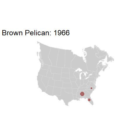 Brown Pelican.BBSindex_states_1966-2015.gif