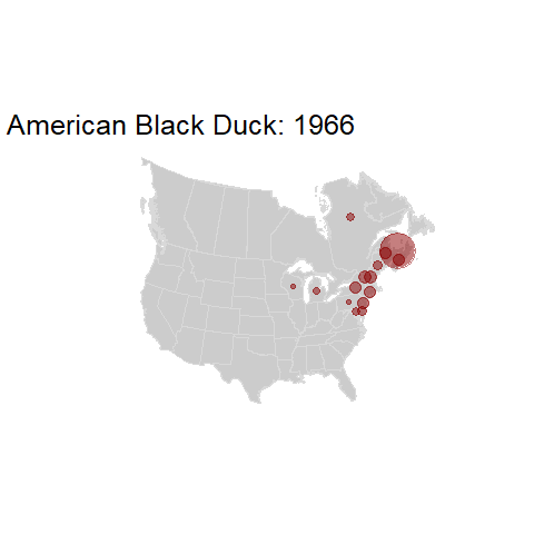 American Black Duck.BBSindex_states_1966-2015.gif