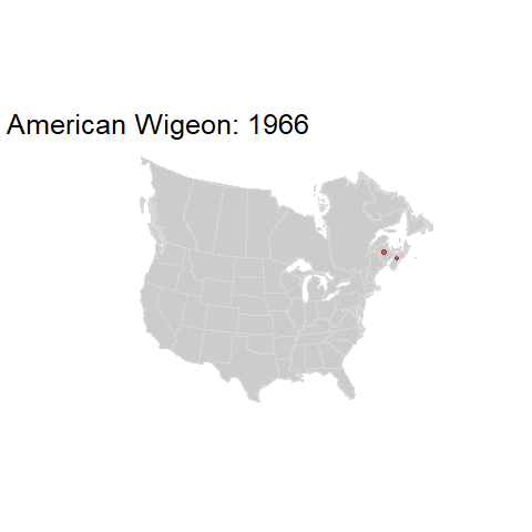 American Wigeon.BBSindex_states_1966-2015.gif