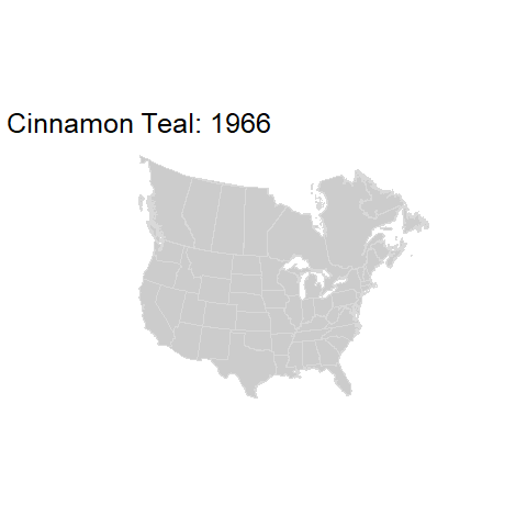 Cinnamon Teal.BBSindex_states_1966-2015.gif