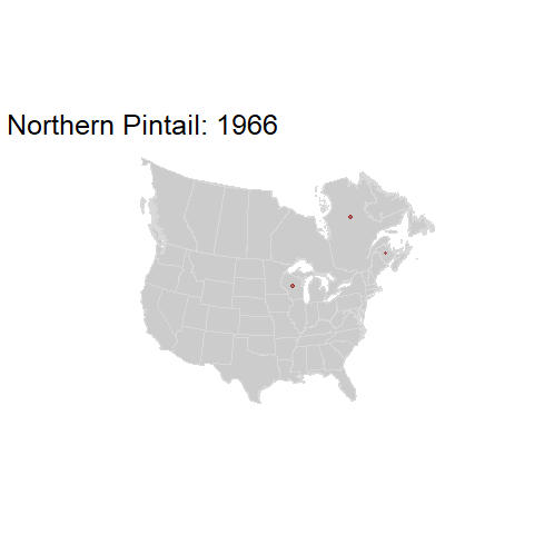 Northern Pintail.BBSindex_states_1966-2015.gif