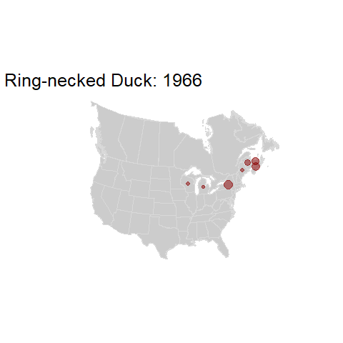 Ring-necked Duck.BBSindex_states_1966-2015.gif