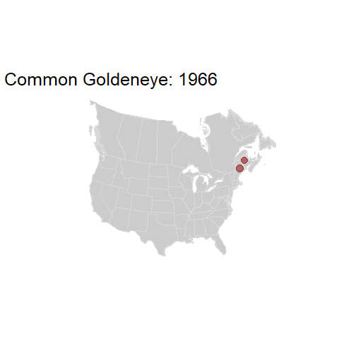 Common Goldeneye.BBSindex_states_1966-2015.gif