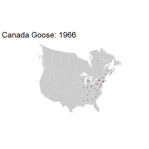 Canada Goose.BBSindex_states_1966-2015.gif