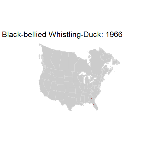 Black-bellied Whistling-Duck.BBSindex_states_1966-2015.gif