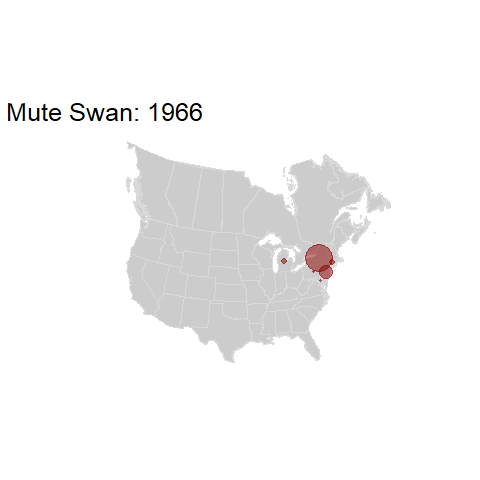 Mute Swan.BBSindex_states_1966-2015.gif