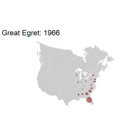 Great Egret.BBSindex_states_1966-2015.gif