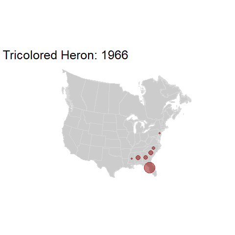 Tricolored Heron.BBSindex_states_1966-2015.gif