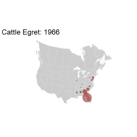 Cattle Egret.BBSindex_states_1966-2015.gif