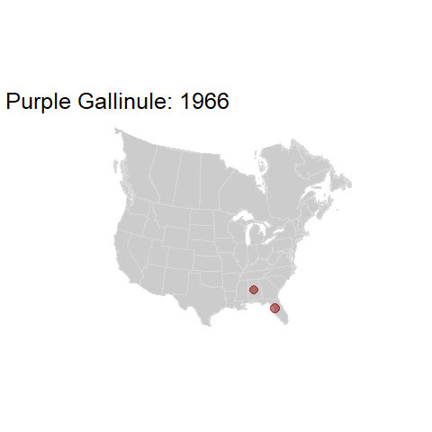 Purple Gallinule.BBSindex_states_1966-2015.gif