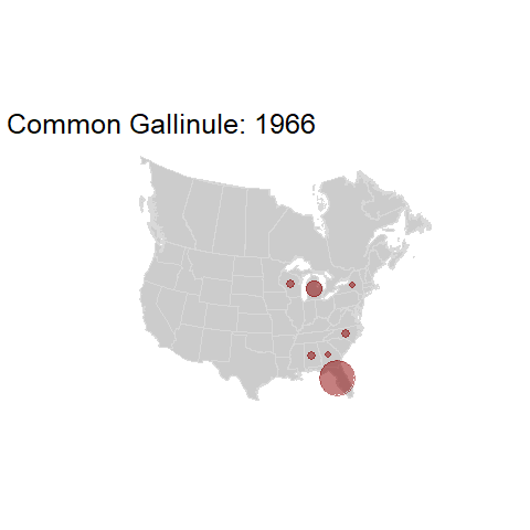 Common Gallinule.BBSindex_states_1966-2015.gif